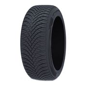 WestLake All Season Elite Z-401 205/55 R16 91V